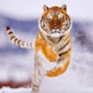 Meet your Posher, Ethan